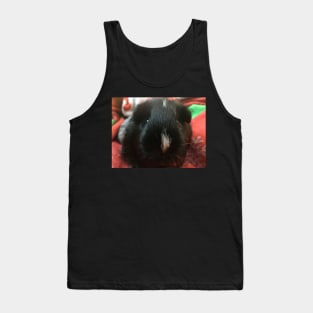 Nose boop pig Tank Top